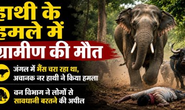 CG – हाथियों का आतंक: जंगल में भैंस चरा रहे ग्रामीण पर नर हाथी ने किया हमला, मौके पर मौत