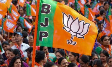BJP में बड़ा संगठनात्मक फेरबदल, नितिन नबीन ने नए पदाधिकारियों के नामों का किया ऐलान