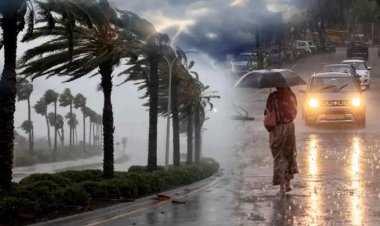 छत्तीसगढ़ में मानसून सक्रिय, राजधानी समेत कई क्षेत्रों में जमकर बरसे बादल, अगले 2 दिन तक बारिश के आसार