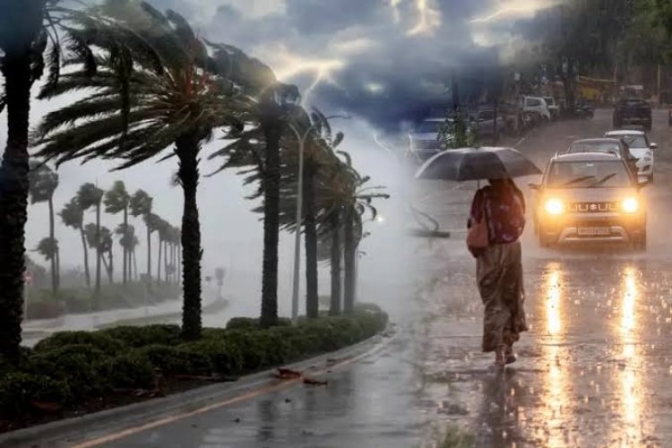 छत्तीसगढ़ में मानसून सक्रिय, राजधानी समेत कई क्षेत्रों में जमकर बरसे बादल, अगले 2 दिन तक बारिश के आसार