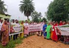 जशपुर में MRMA 2.0 के तहत तसर किसानों के लिए जागरूकता व प्रशिक्षण कार्यक्रमों की श्रृंखला