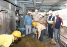 CG DRUG DISPOSAL : 2.15 करोड़ का गांजा समेत नशे का जखीरा नष्ट