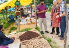विदेशी पर्यटकों को आकर्षित कर रहा छत्तीसगढ़ का ग्रामीण पर्यटन मॉडल