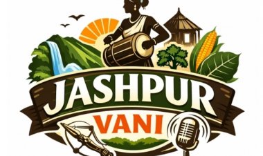 H1N1/स्वाइन फ्लू को लेकर जशपुर स्वास्थ्य विभाग अलर्ट, जिलेवासियों से सावधानी बरतने की अपील