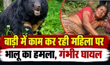 बाड़ी में काम कर रही महिला पर भालू का हमला, गंभीर घायल