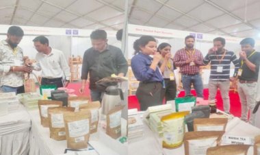 जंगल की महक से बाजार की पहचान तक पहुंचा जशपुर का महुआ