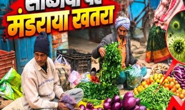 दिल्ली की सब्जियों को लेकर अलर्ट, यमुना किनारे मिला बड़ा खतरा