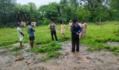 सुकमा वन क्षेत्र में बाघ की मौजूदगी के संकेत, ग्रामीणों को सतर्क रहने की अपील