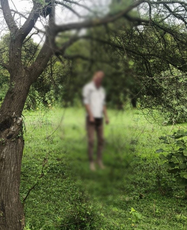 CG NEWS: रेलवे ब्रिज के पास पेड़ पर फंदे से लटकता मिला अज्ञात व्यक्ति का शव, इलाके में सनसनी; जांच में जुटी पुलिस