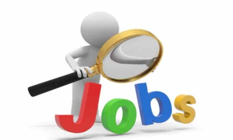 CG Job Vacancy 2026: छत्तीसगढ़ में 140 पदों पर भर्ती, 10वीं-12वीं पास को भी मौका